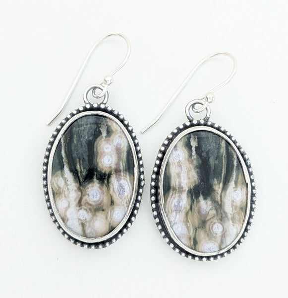 Ocean Jasper Earrings