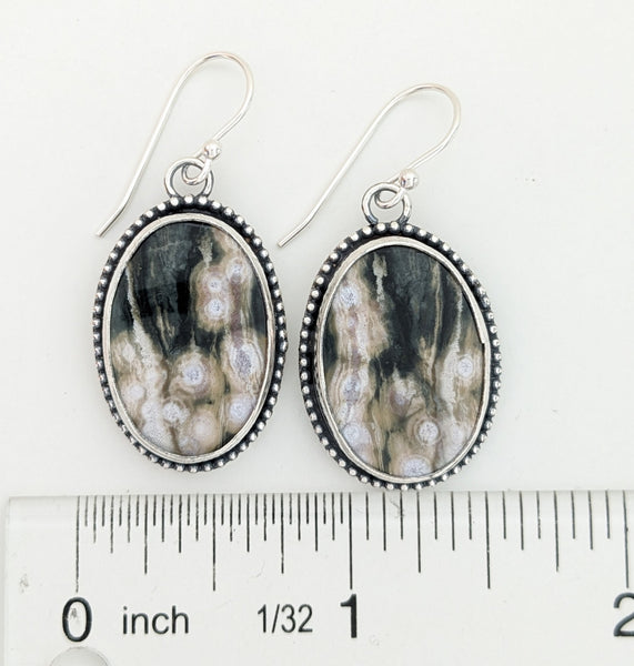 Ocean Jasper Earrings