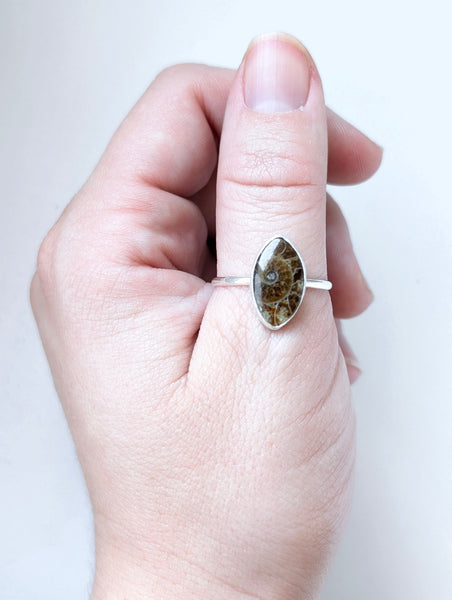Ammonite Fossil Ring,Size 10