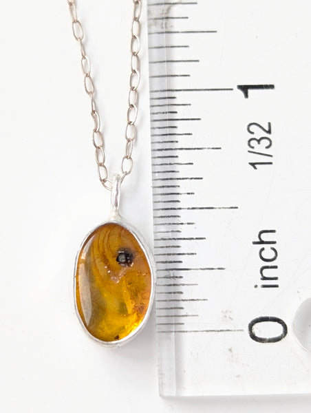 Amber with Insect Necklace