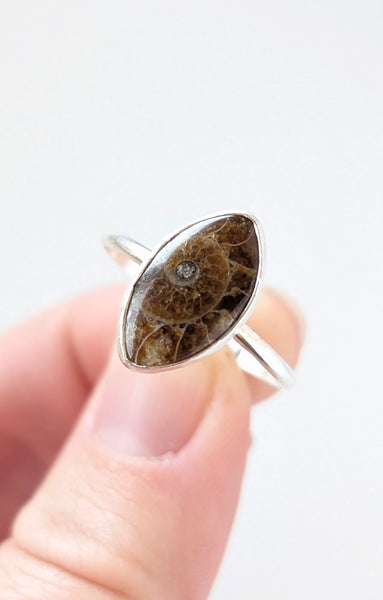 Ammonite Fossil Ring,Size 10