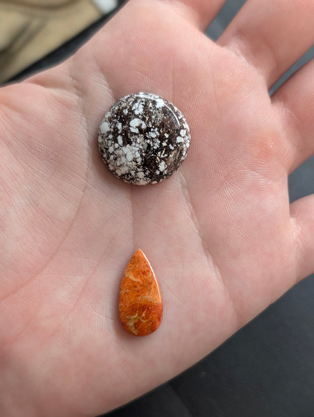 Wild horse and Spiny Oyster Lariat
