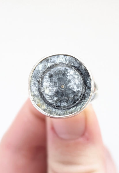 Orthoceras Fossil Ring, Size 9