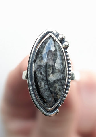 Orthoceras Fossil Ring Size 7.5