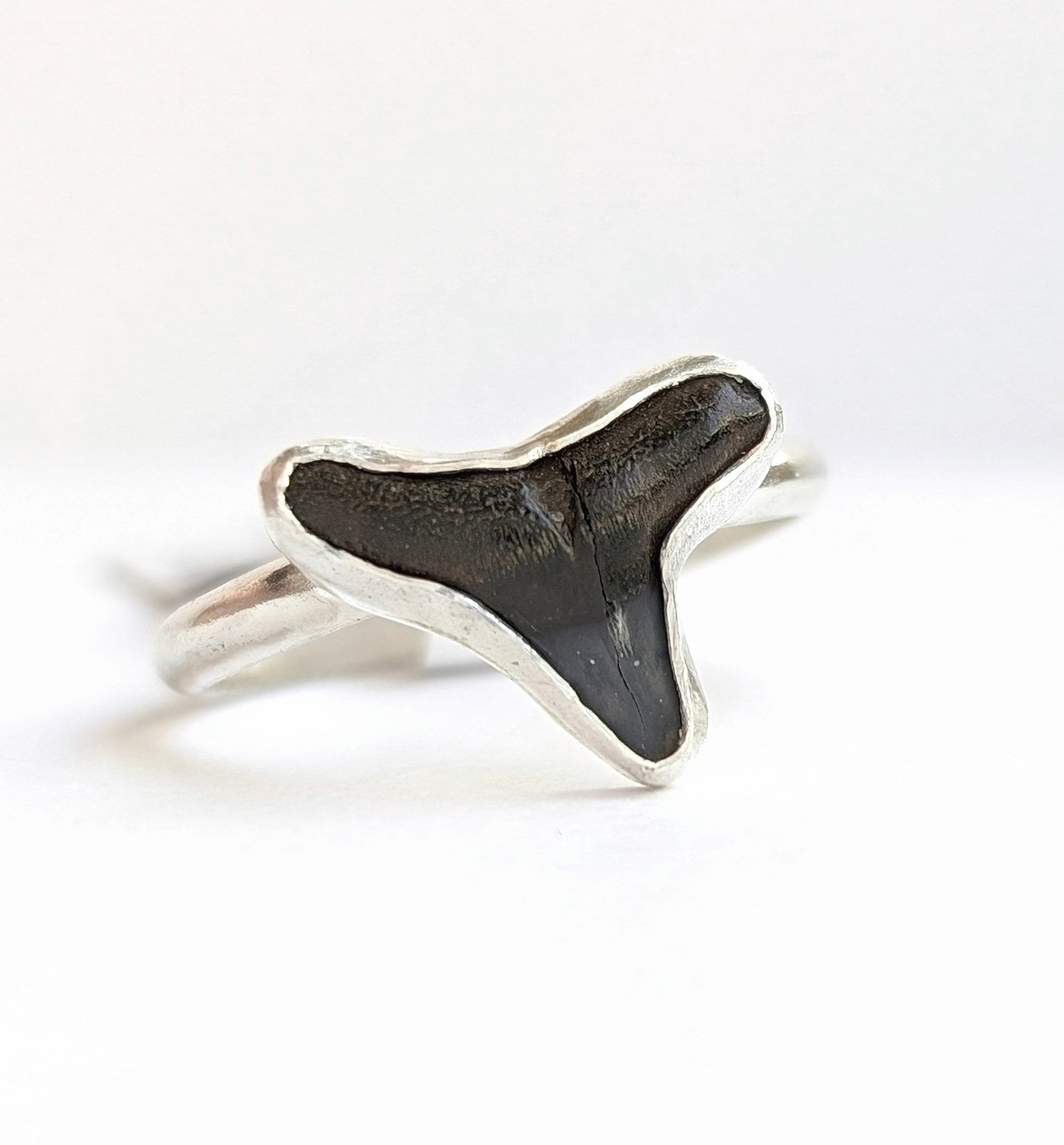 Sharks tooth Ring, Size 7.5