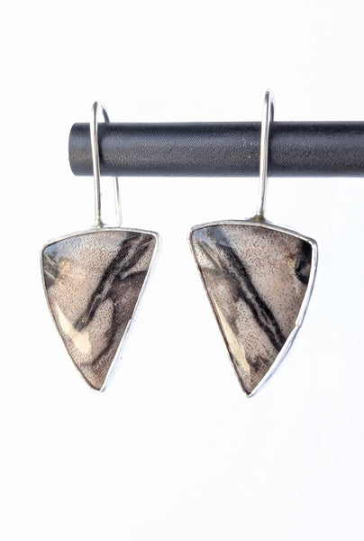 Petrified Wood Earrings