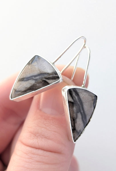 Petrified Wood Earrings