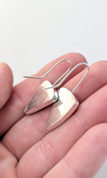 Petrified Wood Earrings