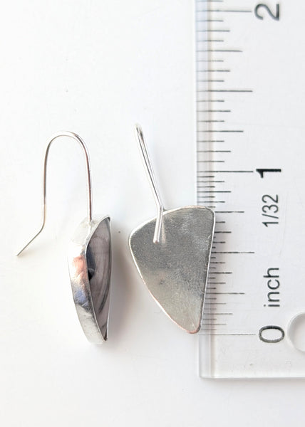 Petrified Wood Earrings