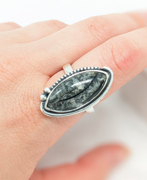 Orthoceras Fossil Ring Size 7.5
