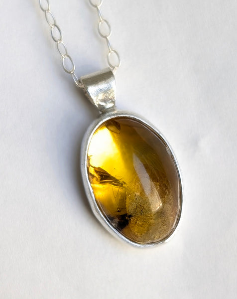 Amber with Inclusion Necklace