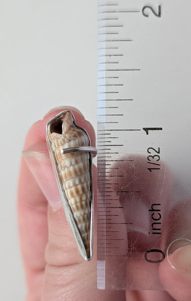 Sea Shell Earrings