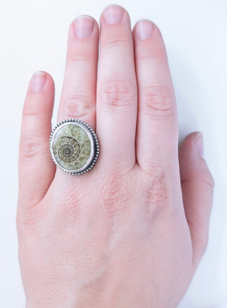 Ammonite Ring, Size 6