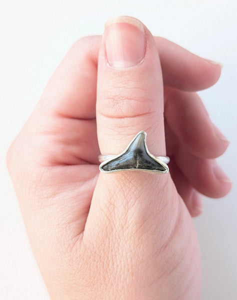 Sharks Tooth Ring, Size 9