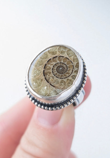 Ammonite Ring, Size 6