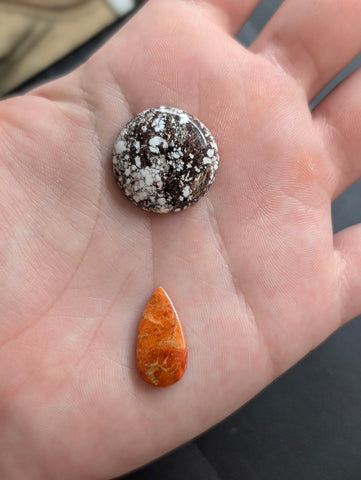 Wild horse and Spiny Oyster Lariat