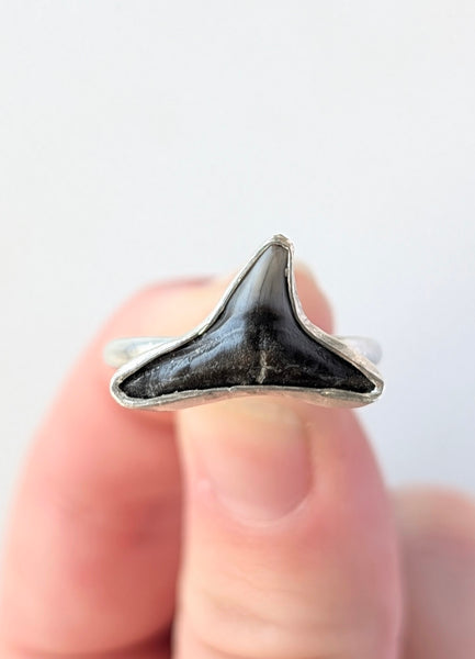 Sharks Tooth Ring, Size 9