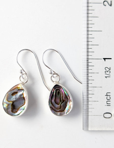 Abalone Shell Earrings