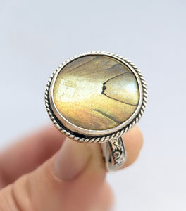 Mother of Pearl Ring, Size 10