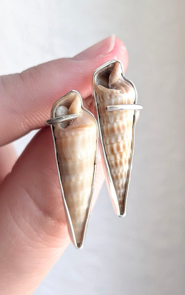 Sea Shell Earrings
