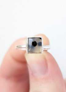 Montana Agate Ring, Size 5.5