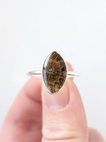 Ammonite Fossil Ring,Size 10
