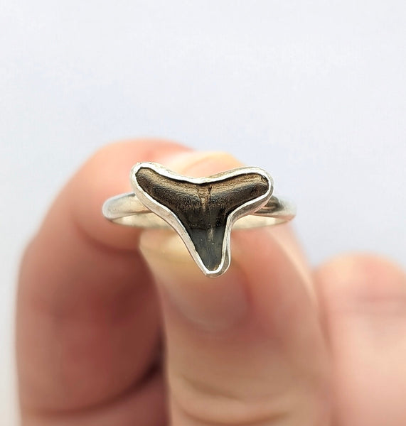 Sharks tooth Ring, Size 7.5