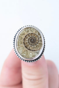 Ammonite Ring, Size 6