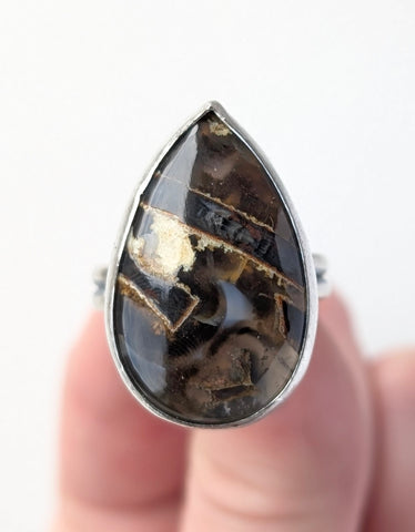 Sagenite Agate Ring Size 10.75